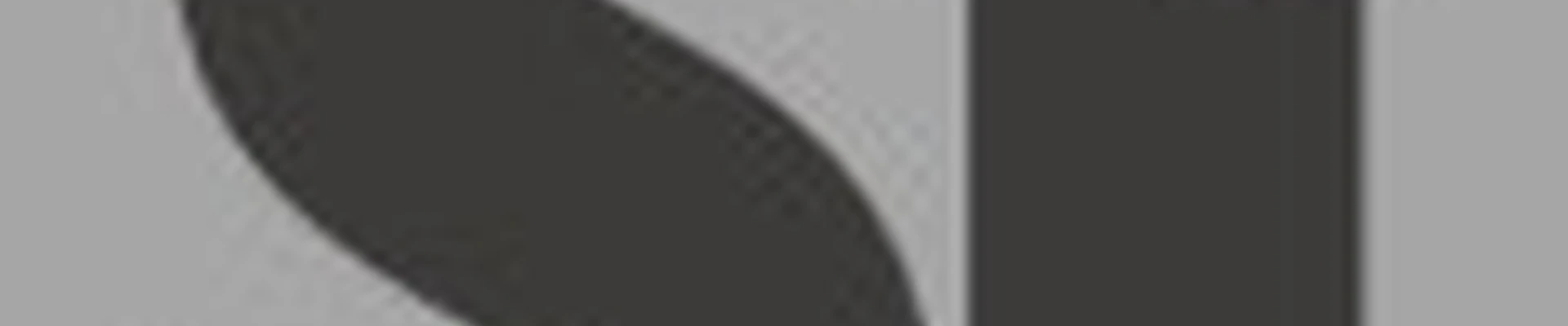 Студия Ирины Шевченко