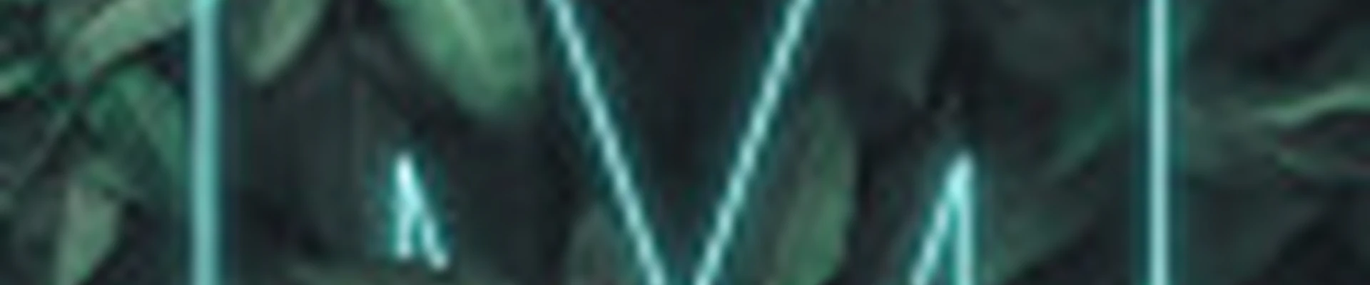 Студия "Дикая мята"