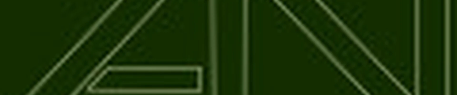 Студия взгляда AN