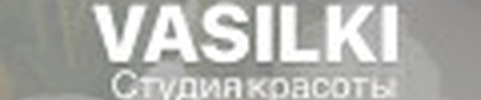 Салон VASILKI