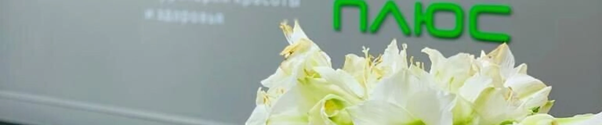 Результат Плюс