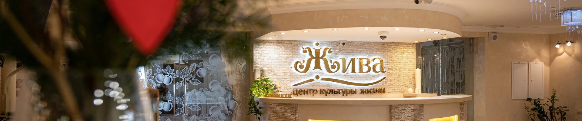 ЖИВА
