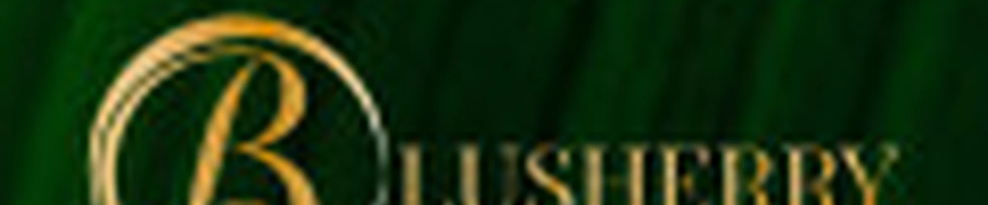 Студия красоты BLUSHERRY