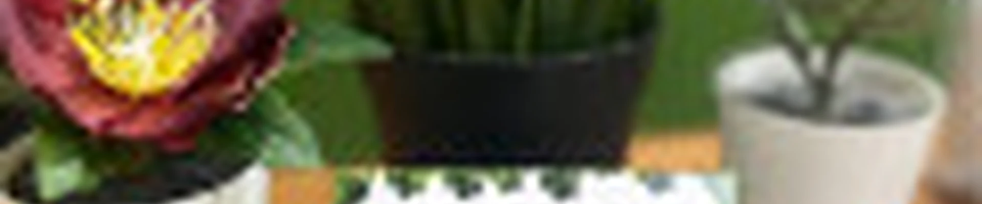 Парикмахерская В Парке