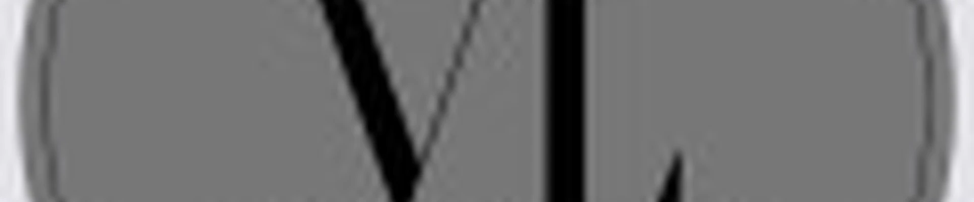 VIDLASH _EFFECT