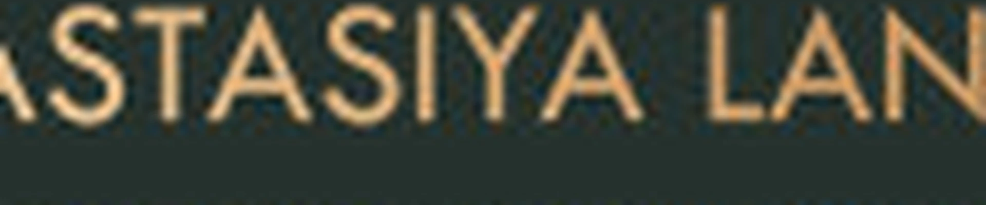 Studio by Anastasiya Lansky