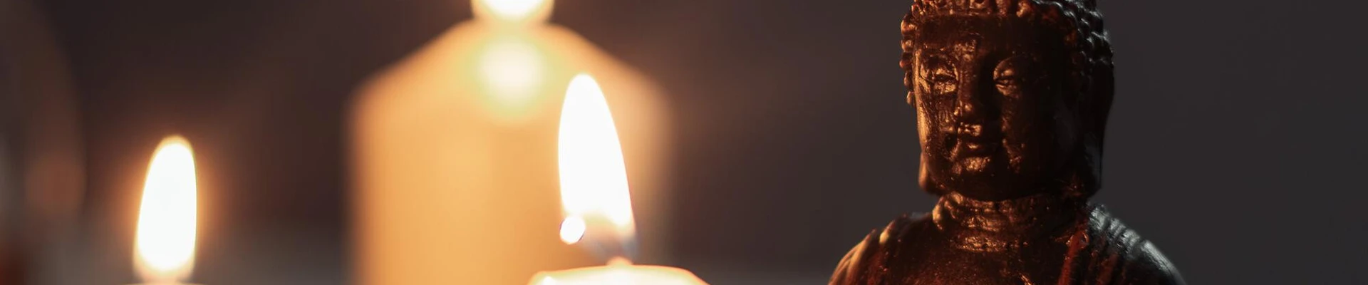 Frangipani в Подольске Россия, Московская область, Подольск, улица Генерала Стрельбицкого, 3