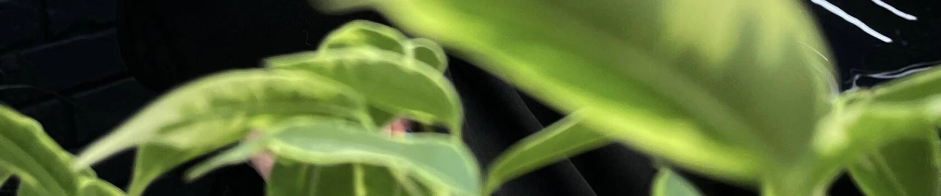 &