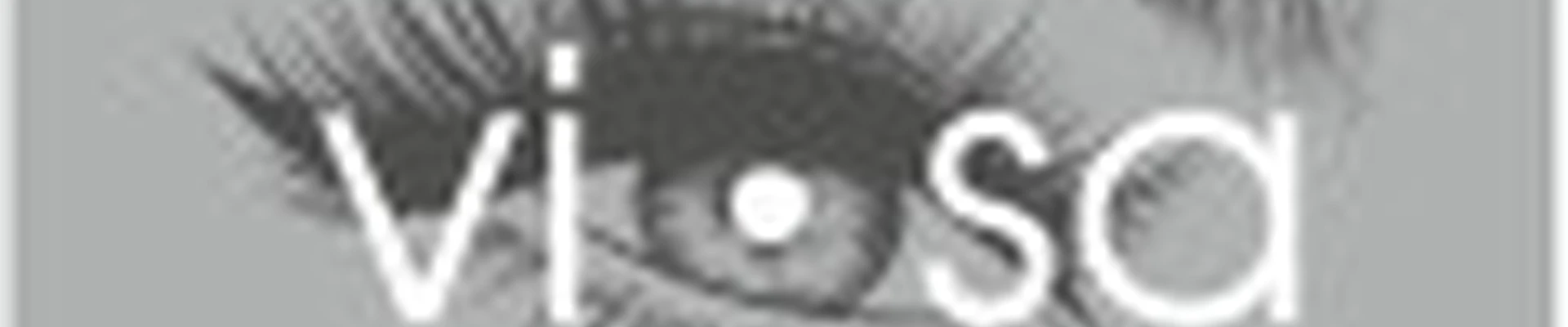 Vi•Sa Студия взгляда