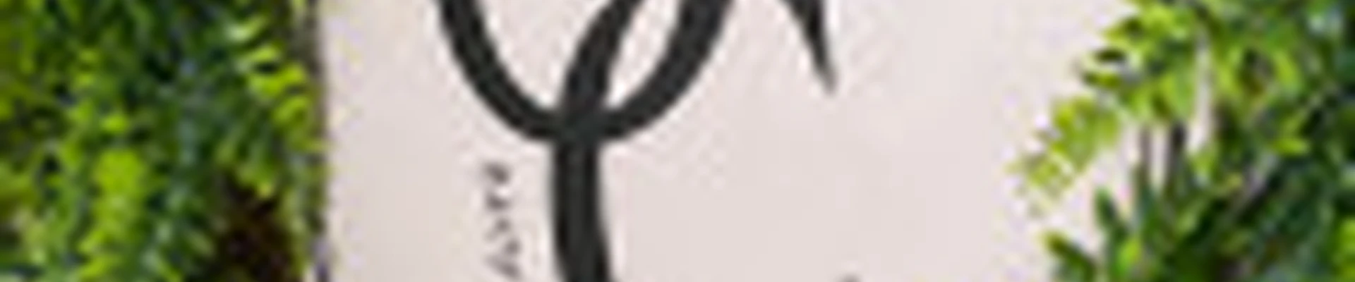 OS_Studio