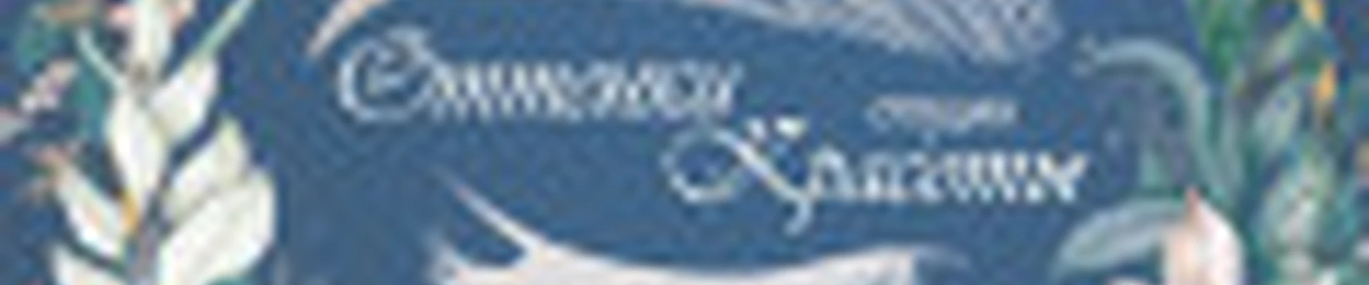 Семейная студия "Оттенки Красоты"