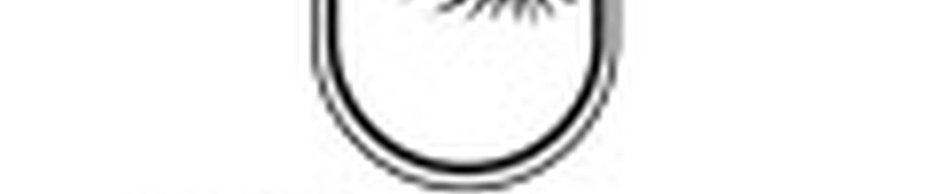 Lash & brows