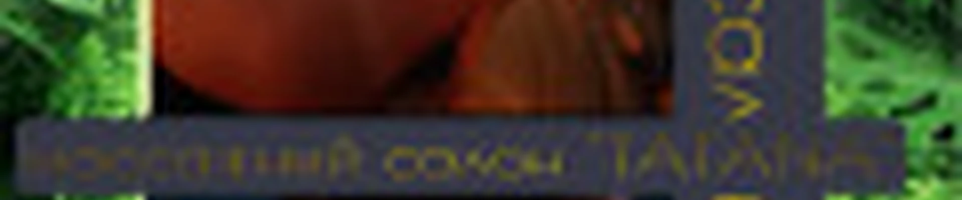 Иванова Татьяна