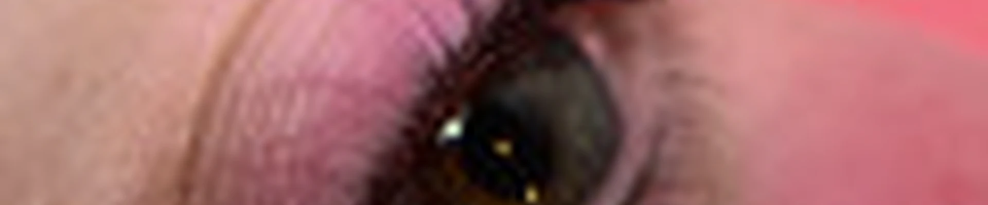 BORODINA LASHES