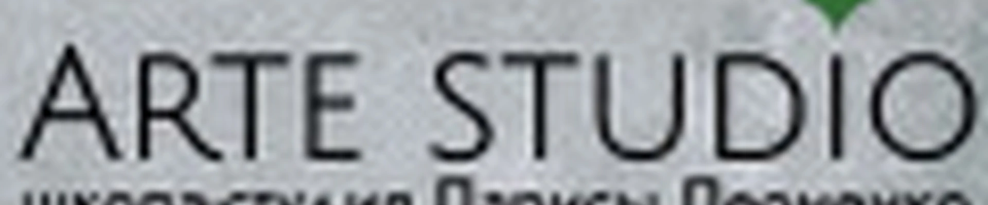 ARTE STUDIO
