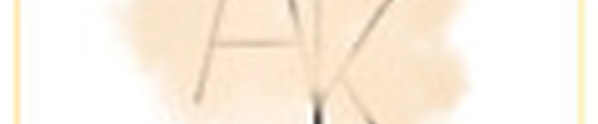 Lash And Brow Studio