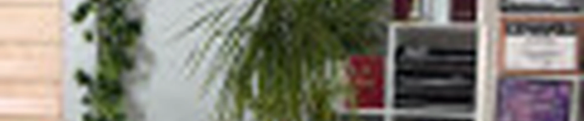 Студия красоты МG