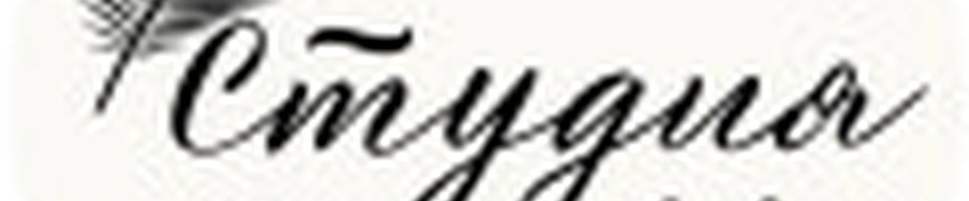 Студия Юлии Воробьёвой (Щёлково)