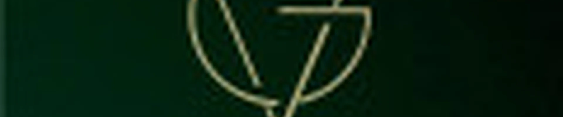 VG студия красоты