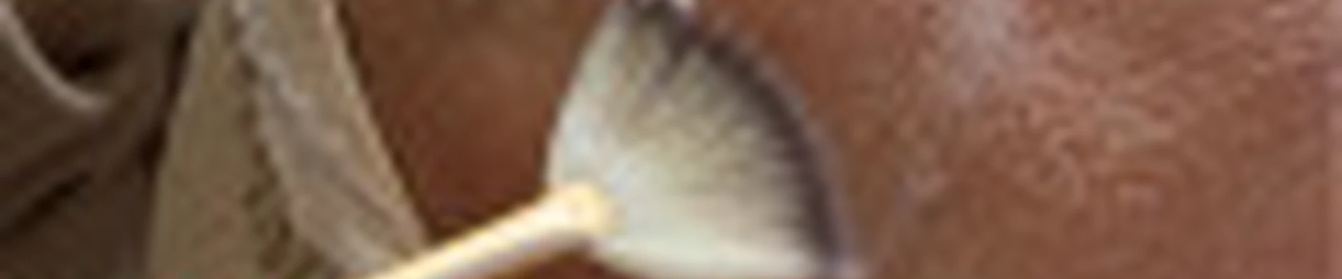 PROSpecialSkin