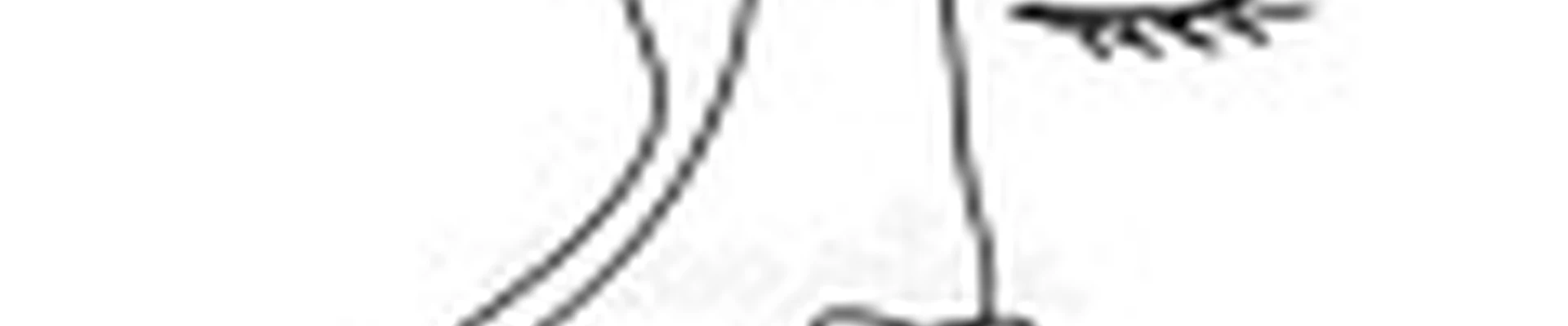 Студия красоты