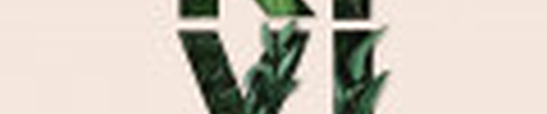 Киви студия красоты