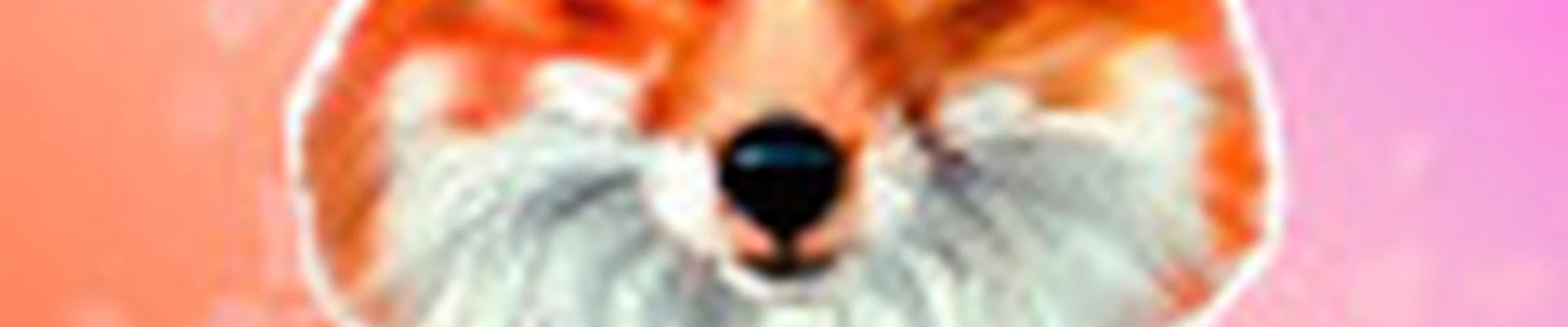 Студия красоты Лиса By