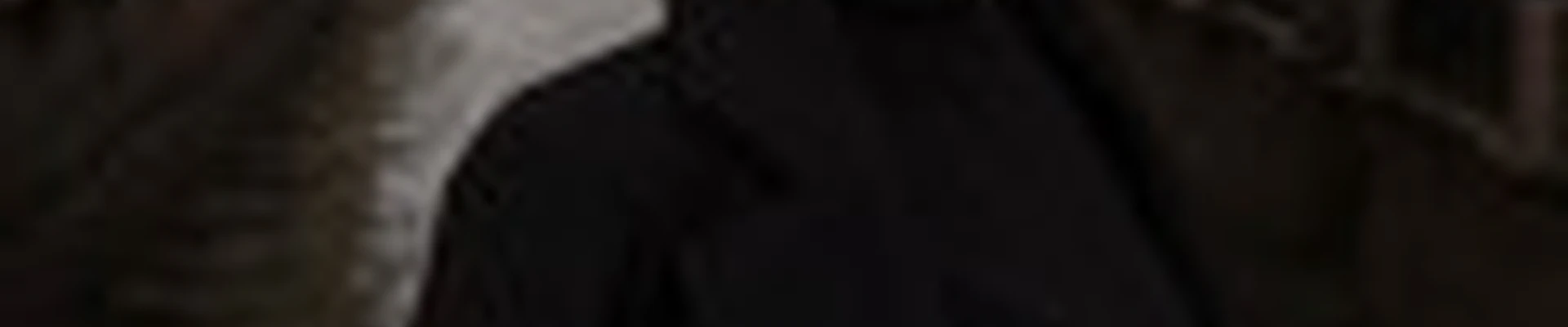 Lizzet Brows
