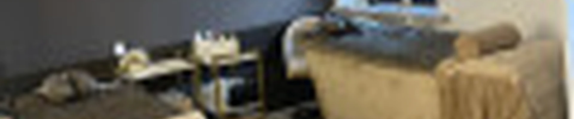 ПАРНАС ЛИСИЧКА С РЕСНИЧКАМИ