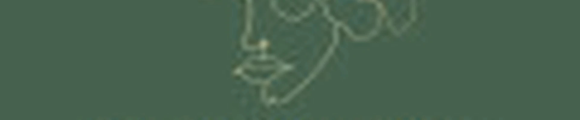 Брайт Клиник