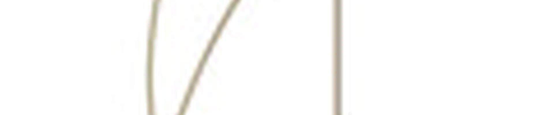 Studio by Anna Tregubova