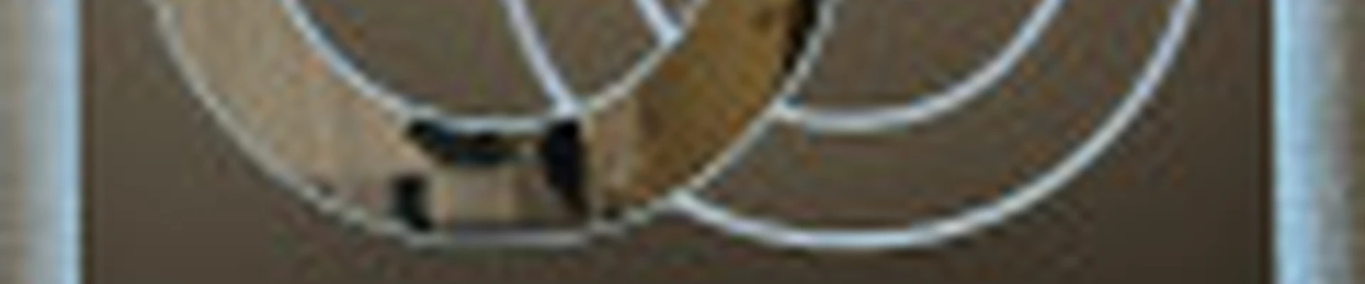 Солярий «Серебро»