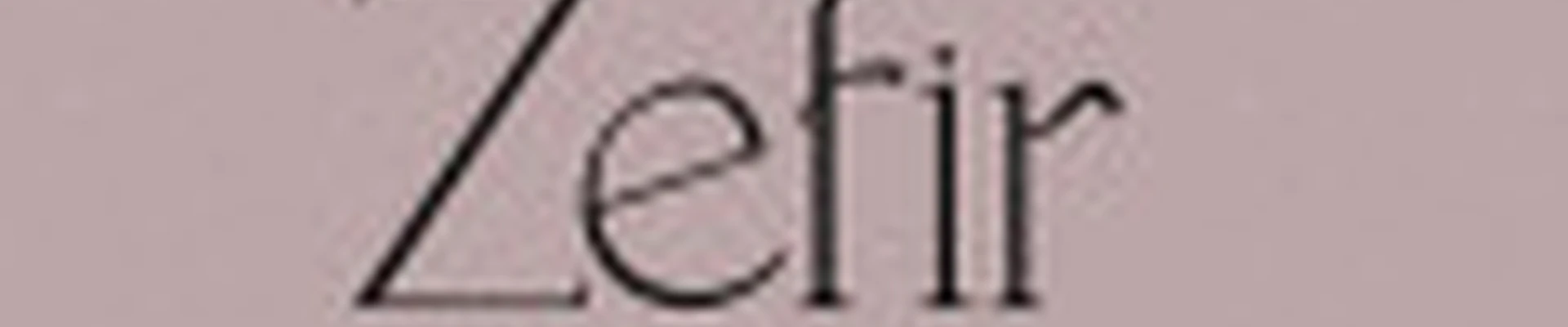 Zefir beauty studio