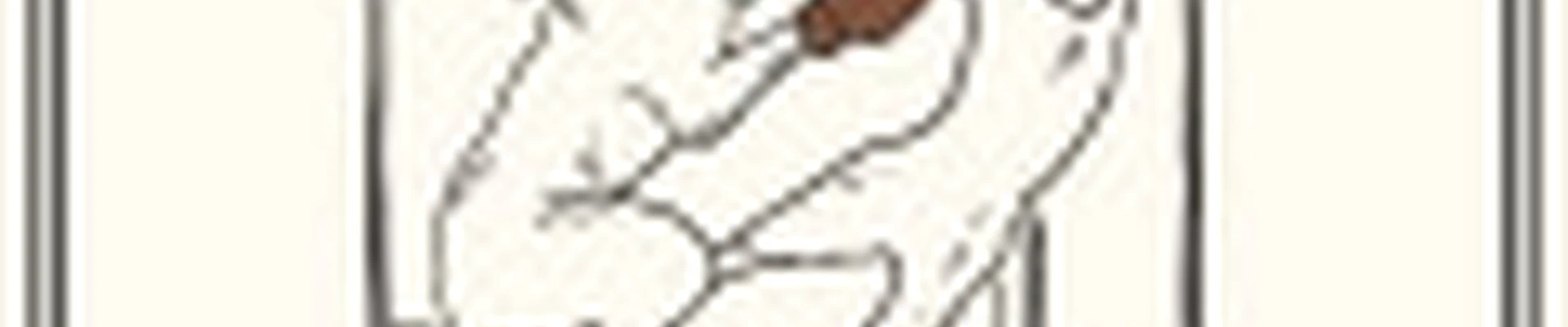 Дикий Заяцъ