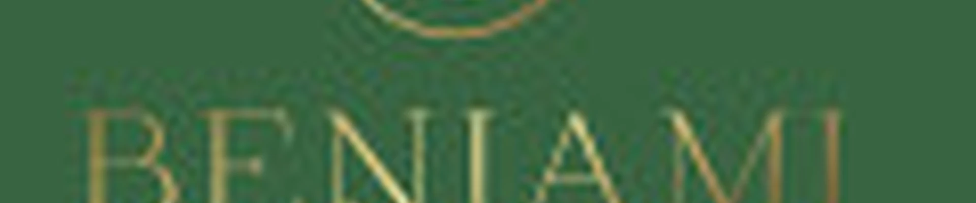 Студия красоты Benjami