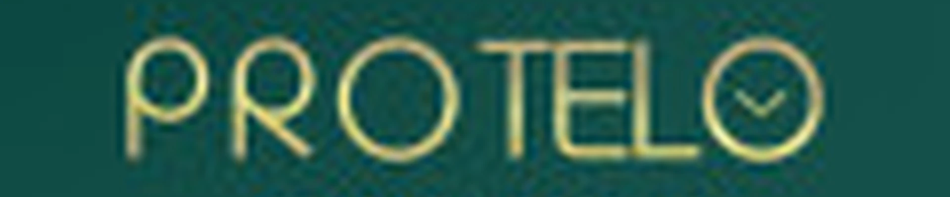 Студия «Protelo», ул. Московская, 98