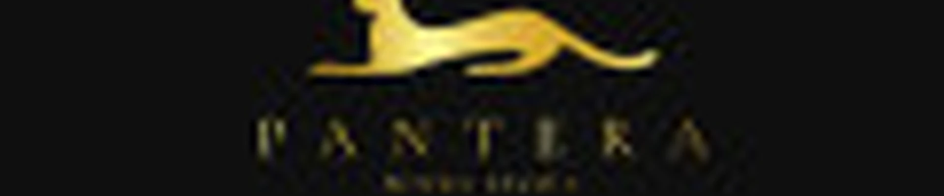 PANTERA studio