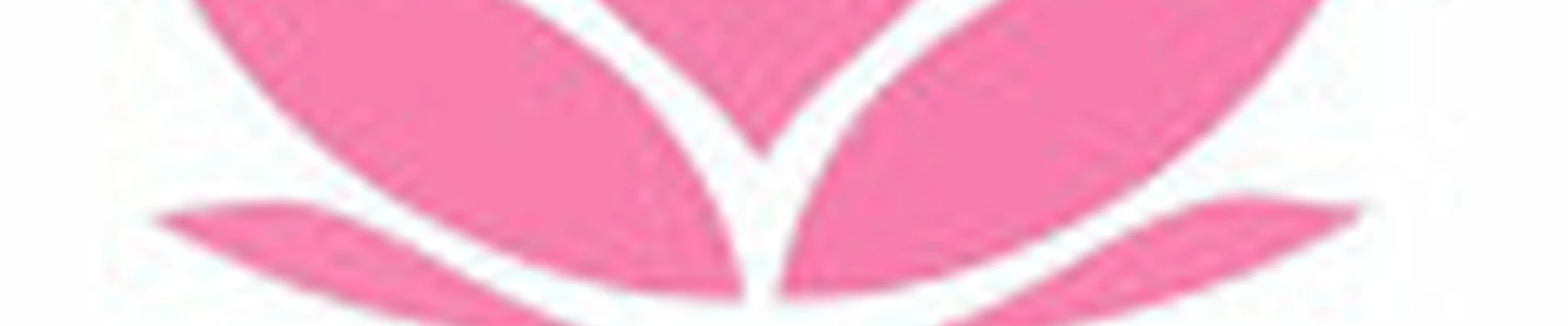 LADY VIP II