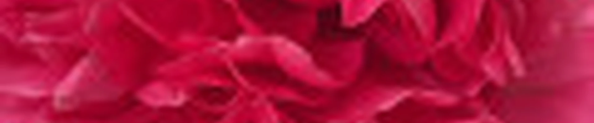 Салон красоты ТАЛео