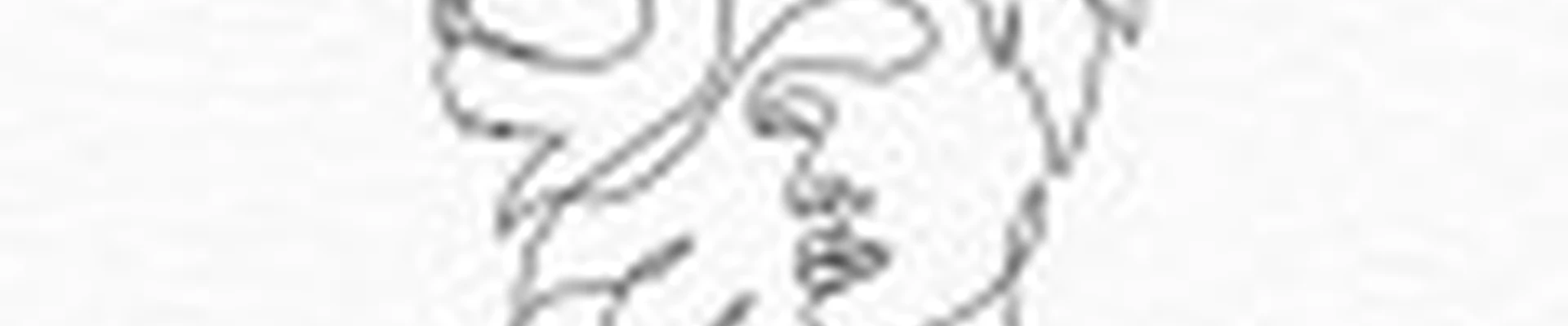 Студия красоты «Львица»