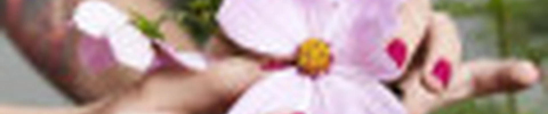 Космея | Nail master