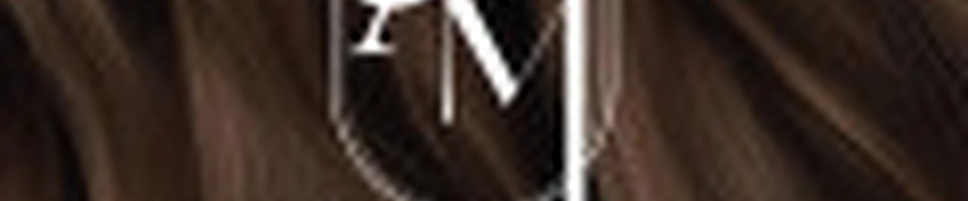 Ami Studio