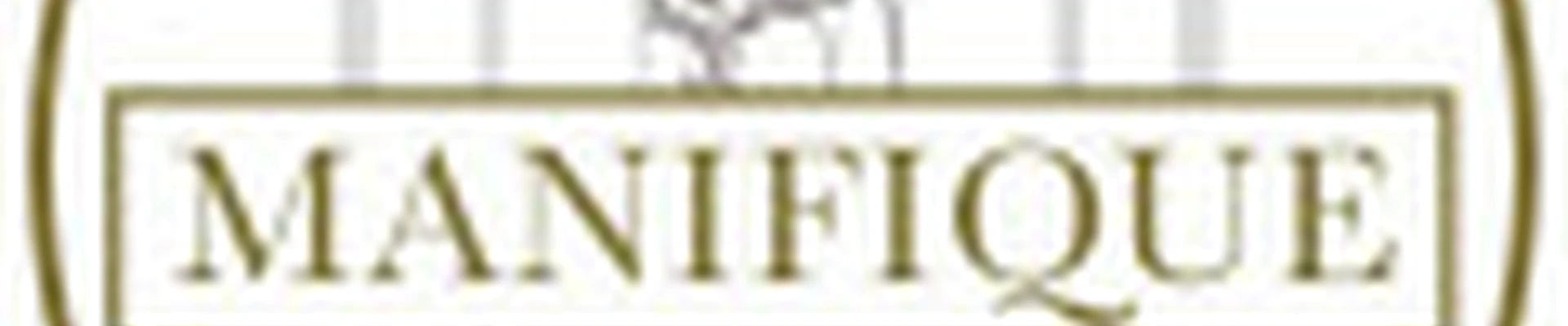 Manifique beauty studio