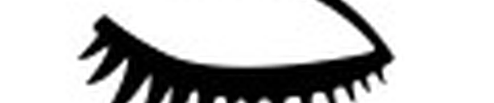 LashStudio53