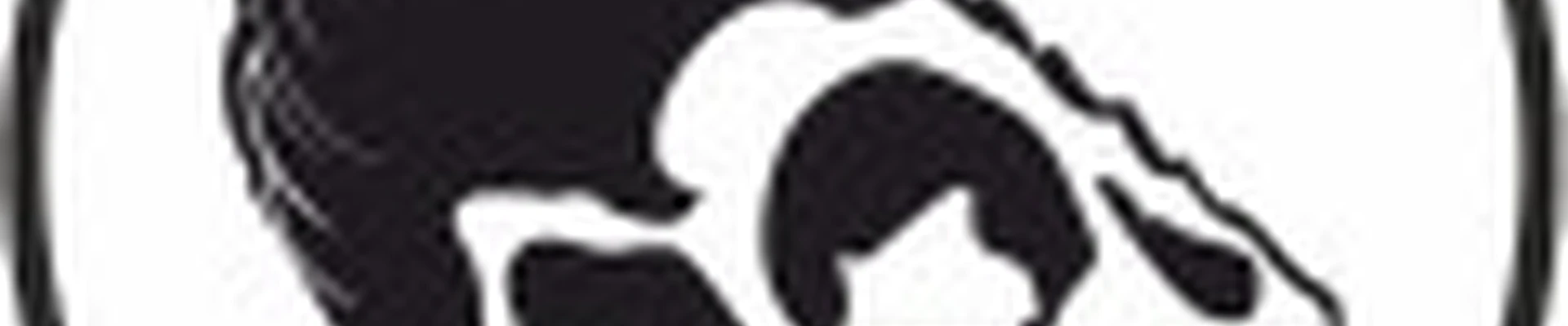 Студия красоты "Хамелеон"