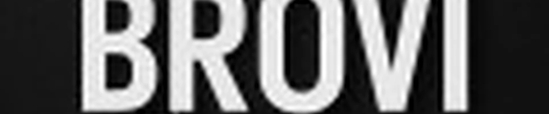 Студия “BROVI”