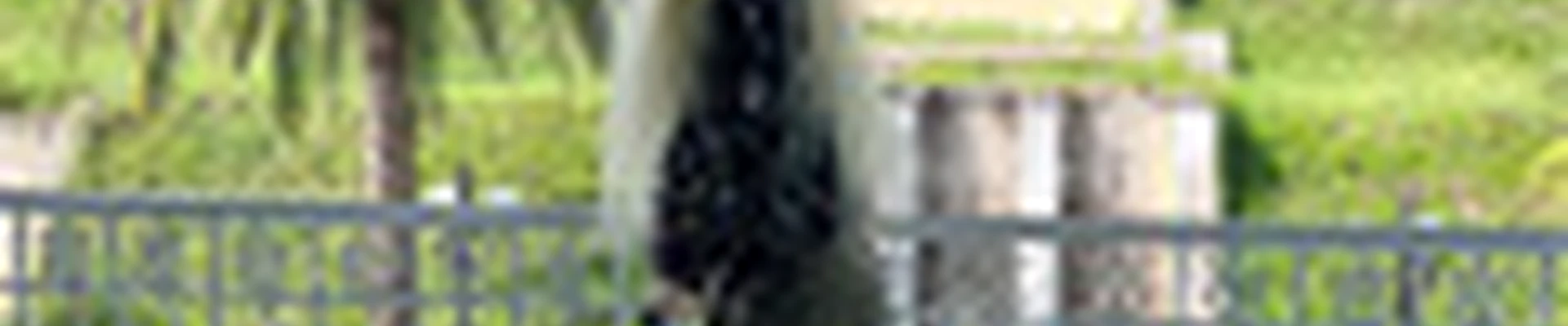 Мишагина Анастасия Андреевна