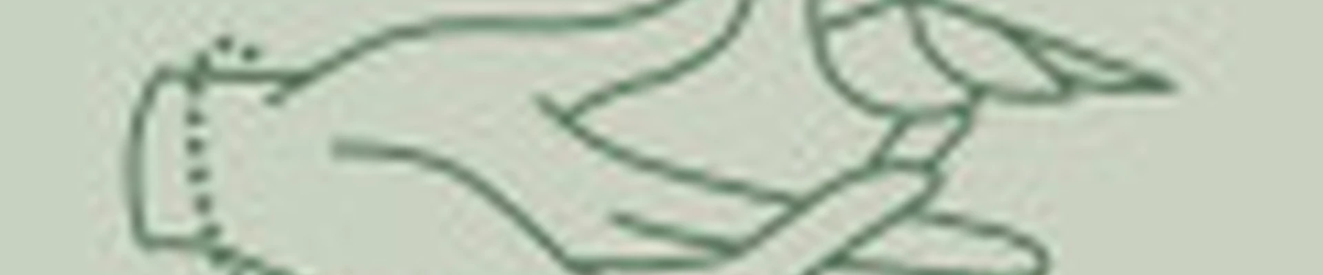 VORONINA_NAILSS studio