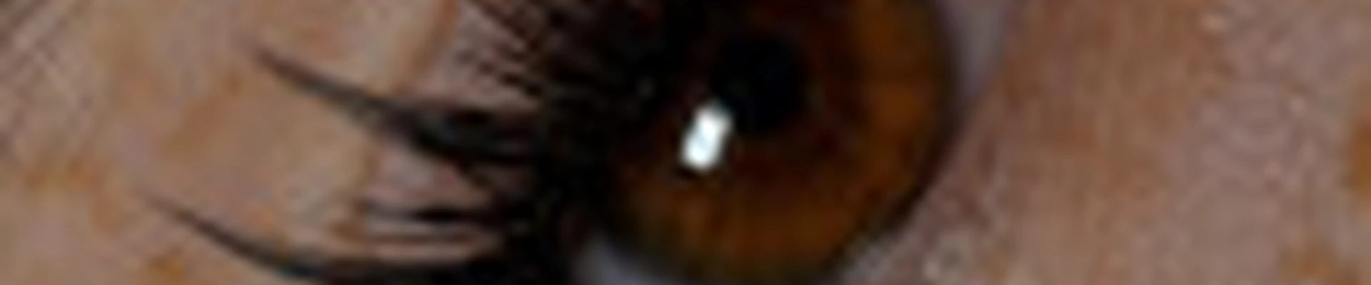 Kushnareva_lash