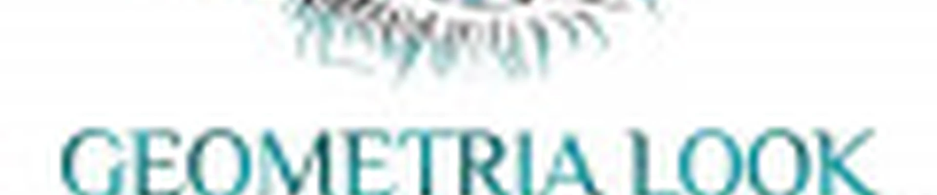 Студия «Геометрия взгляда»